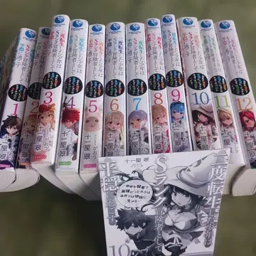 두 번 환생한 소년은 S랭크 모험가로서 평온하게 지낸다 1~12권