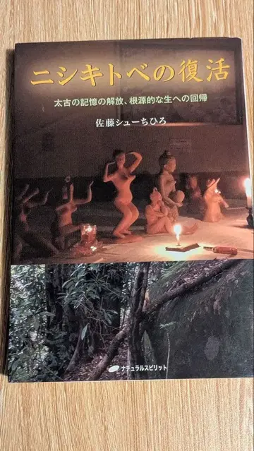 니시키토베의 부활 사토 슈헤이