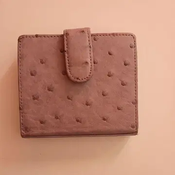 Lotties 111 스터드 접이식 지갑