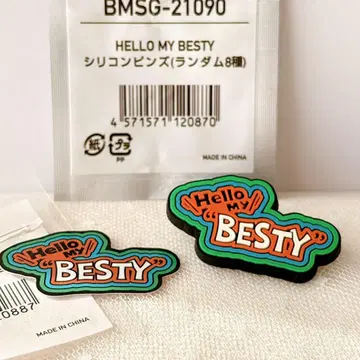 [ BESTY ] Hello My BESTY 실리콘 핀즈 & 네임 스티커