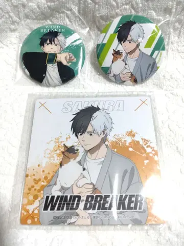 벚꽃 하루 마네키네코 세트