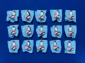 SUICA 펭귄 병뚜껑 전 5종 세트 x 3