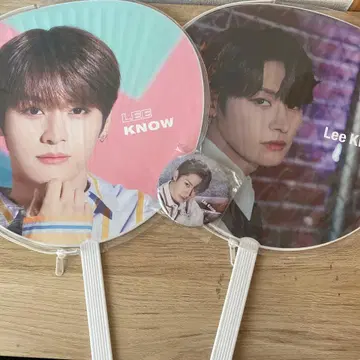 리노 부채 배지 세트