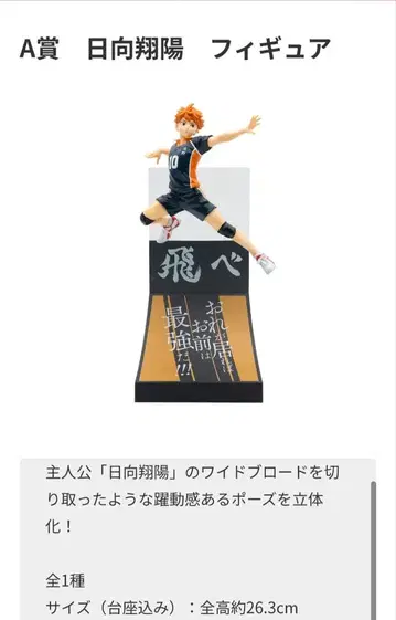 히나타 쇼요 A상 피규어