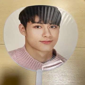 SEVENTEEN 준 부채