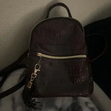 다크 브라운 크로커다일풍 백팩