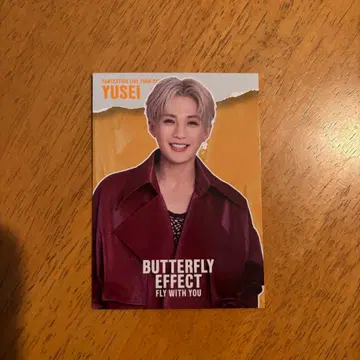 야기 유세이 BUTTERFLYEFFECT 포토 카드 시크릿