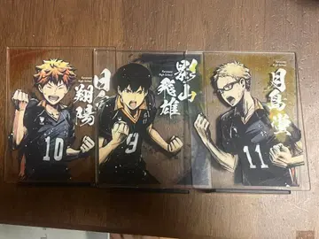 하이큐 환희의 고동 제일복권 히나타 카게야마 츠키시마 세트