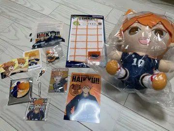 하이큐! 히나타 쇼요 세트