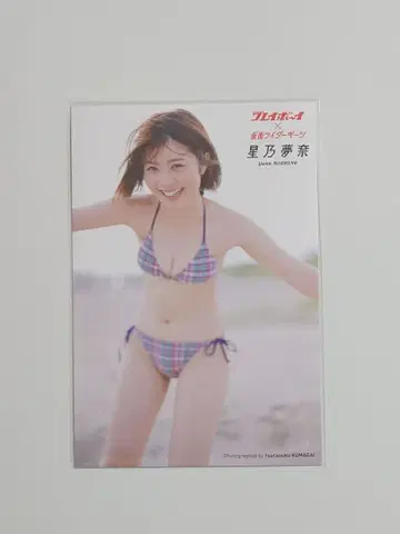 주간 플레이보이 가면라이더 기츠 특제 엽서 호시노 유나 2