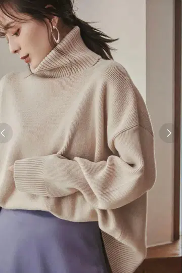 anuans 터틀넥 풀오버 ( BEIGE )