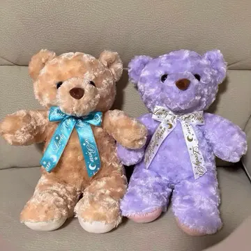 러블리 로즈 베어 스타 샤이니 2체 세트 봉제 인형 곰