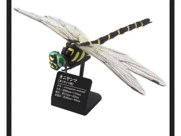 원색 도감 시리즈 일본 잠자리 오니 잠자리 미개봉