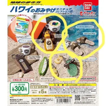 지구의 산책법 하와이 기념품 컬렉션 2 호놀룰루 쿠키 가챠