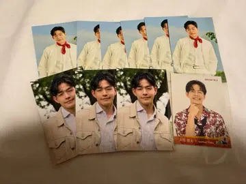 SHOW-WA 이즈츠 유타 포카포카 스티커