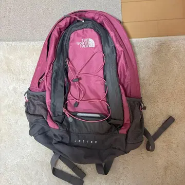 THE NORTH FACE 백팩