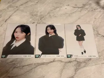 타니자키 사야 배타적 파이터 브로마이드