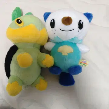 너로 정했다! 포켓몬 겟 봉제 인형 미주마루 나에톨