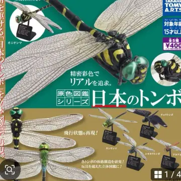 원색도감 시리즈 일본 잠자리 긴야마마 미개봉