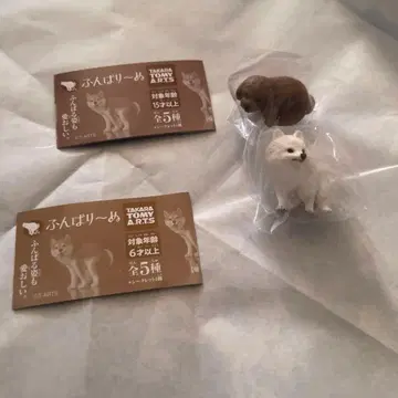 굼벵이 포메라니안 토이 푸들 세트