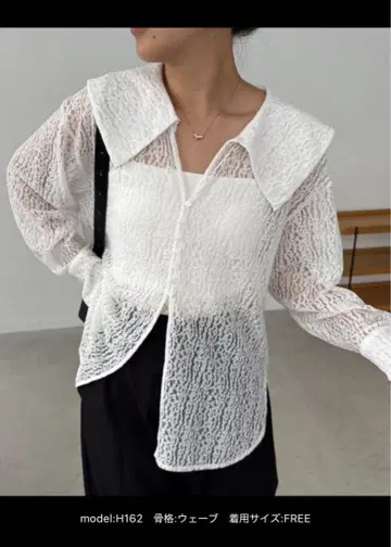 카프리슈레마쥬 레이스 BIG 옷깃 셔츠