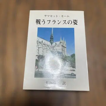 레어 프랑스의 싸우는 모습 서머싯 몸 저