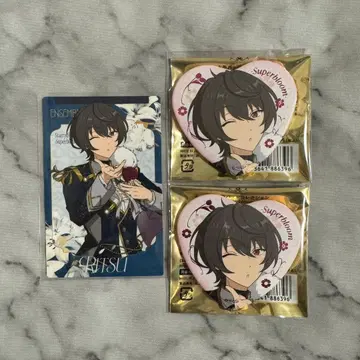 앙스타 스타포니 린츠 카드 캔뱃지 세트