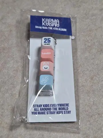 straykids KARMA 팝업 키캡 키링 리비트