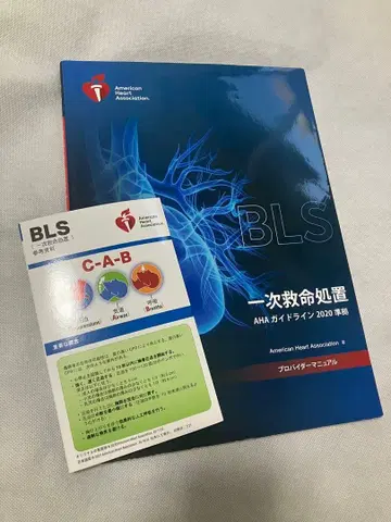 BLS 일차 응급 처치 AHA 가이드라인 2020년판 프로바이더 매뉴얼