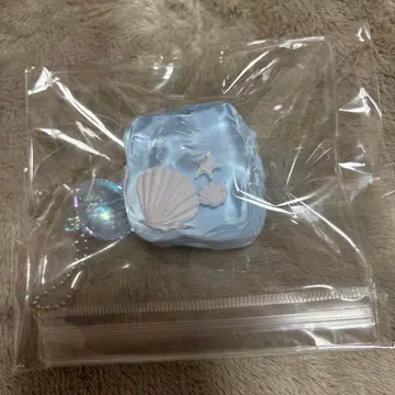 스퀴즈 바다 젤리