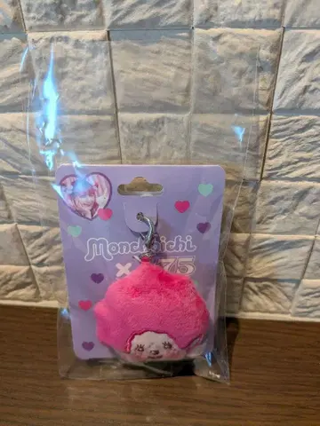 몽치치 시나코 누이 참