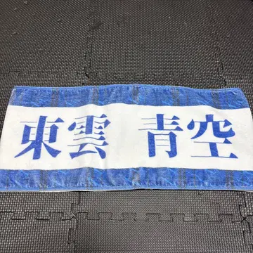 AVAM 시노노메 아오조라 타월