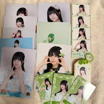 이기가리 도호쿠산 요시세 진주