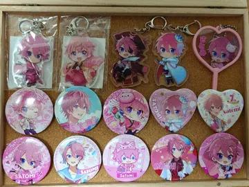 스토푸리 사토미 아크릴 키링 캔뱃지 세트 미개봉 포함