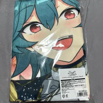 앙스타 스타포니 비주얼 타월 라이카