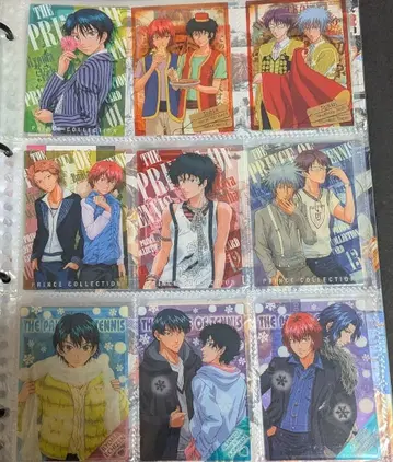 테니스의 왕자님 샤이닝 클리어 카드 릿카이 에치젠 세트