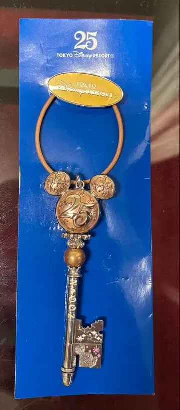 도쿄 디즈니 리조트 25주년 키링