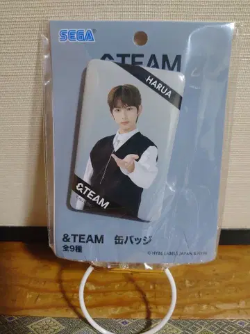 &TEAM HARUA 캔뱃지