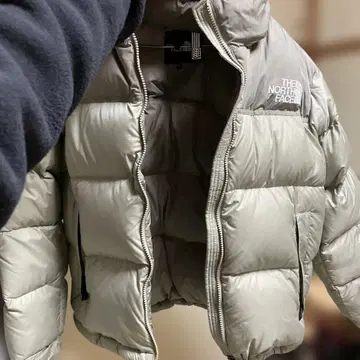 THE NORTH FACE 그레이 다운 자켓