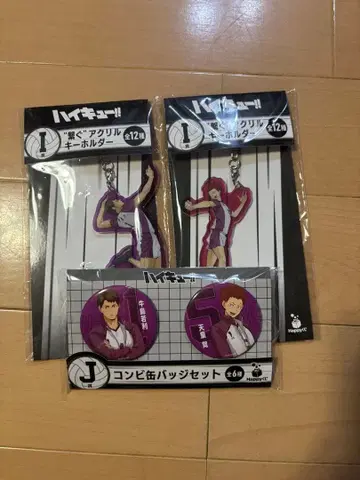 하이큐!! 아크릴 키링 캔뱃지 세트