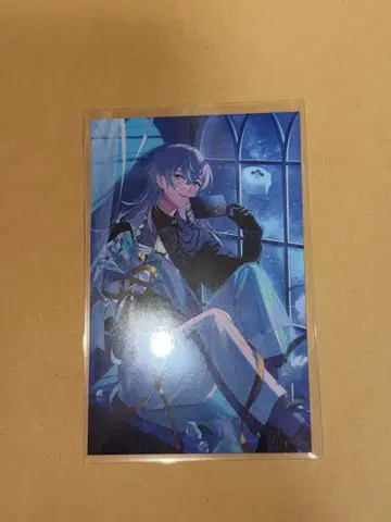 노스탤지어 컬렉션 별 인도 쇼 니지산지