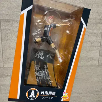 하이큐 히나타 쇼요