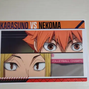 카라스노 vs 네코마 포스터 5세트