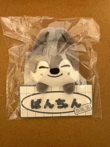 Stray Kids 네임 백참 울프찬