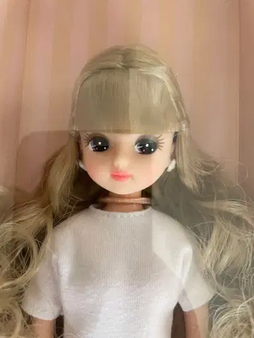 리카짱 캐슬 웨이브