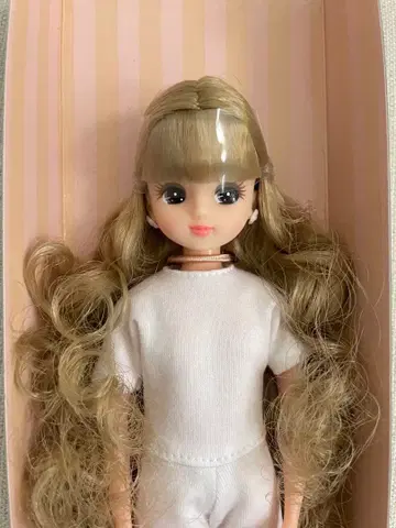 리카짱 캐슬 웨이브