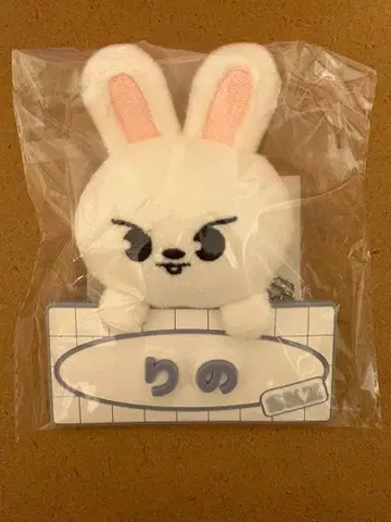 Stray Kids 네임 백참 리노&승민