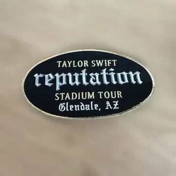 Taylor Swift reputation Tour 와펜