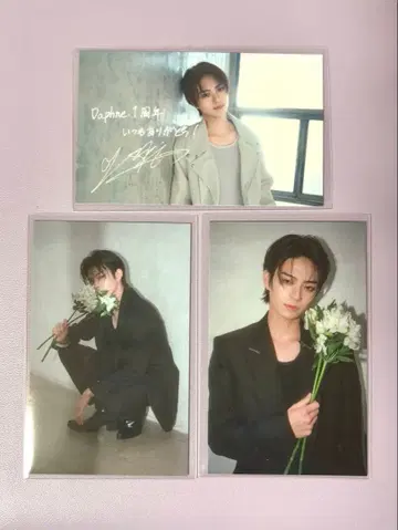 이와세 히로시 Daphne 팬클럽 트레이딩 카드