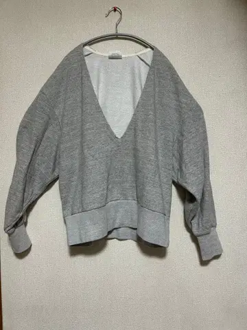 THE SHINZONE 그레이 V넥 맨투맨